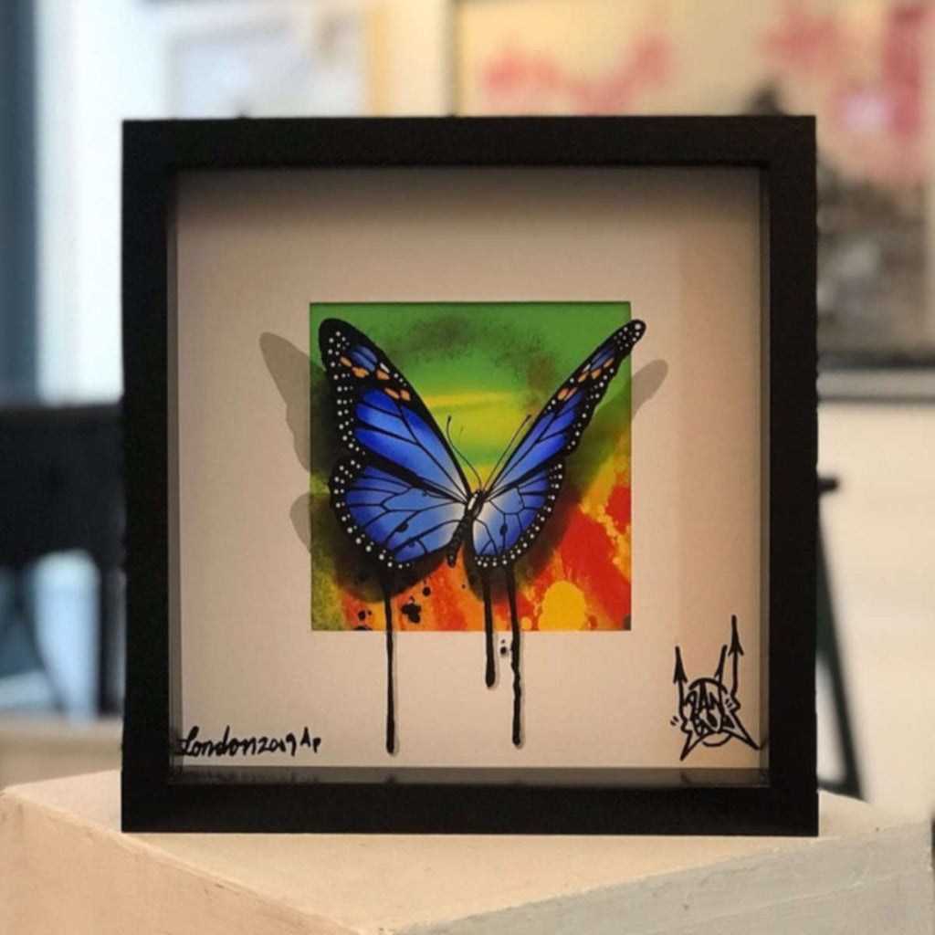 Graffiti Butterfly / Blue
